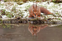 BUITEN BEELD Foto: 250223