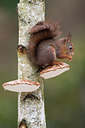 BUITEN BEELD Foto: 250225