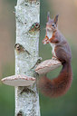 BUITEN BEELD Foto: 250227