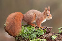 BUITEN BEELD Foto: 250229