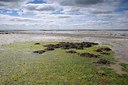 BUITEN BEELD Foto: 250332