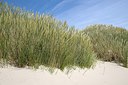 BUITEN BEELD Foto: 250356