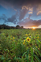 BUITEN BEELD Foto: 250372