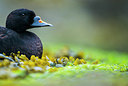 BUITEN BEELD Foto: 250389