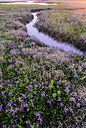 BUITEN BEELD Foto: 250495