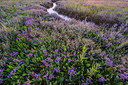 BUITEN BEELD Foto: 250513