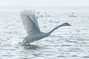 BUITEN BEELD Foto: 250527