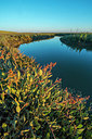 BUITEN BEELD Foto: 250533