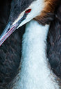 BUITEN BEELD Foto: 250555