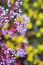 BUITEN BEELD Foto: 250556
