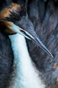 BUITEN BEELD Foto: 250559