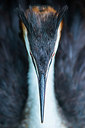 BUITEN BEELD Foto: 250563
