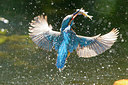 BUITEN BEELD Foto: 250581