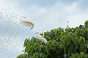 BUITEN BEELD Foto: 250589