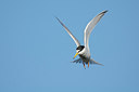 BUITEN BEELD Foto: 250687