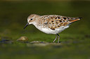 BUITEN BEELD Foto: 250700