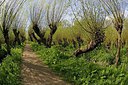 BUITEN BEELD Foto: 250746