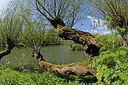 BUITEN BEELD Foto: 250754