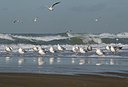 BUITEN BEELD Foto: 250760