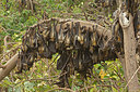BUITEN BEELD Foto: 250774
