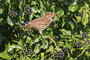 BUITEN BEELD Foto: 250880
