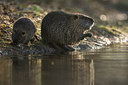 BUITEN BEELD Foto: 250897