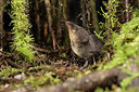 BUITEN BEELD Foto: 250941