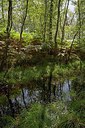 BUITEN BEELD Foto: 250958