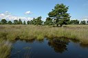 BUITEN BEELD Foto: 250959
