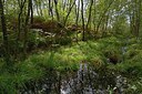 BUITEN BEELD Foto: 250988
