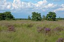 BUITEN BEELD Foto: 251000