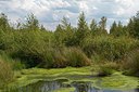 BUITEN BEELD Foto: 251005