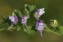 BUITEN BEELD Foto: 251026
