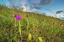 BUITEN BEELD Foto: 251060