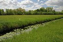 BUITEN BEELD Foto: 251140
