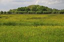 BUITEN BEELD Foto: 251149
