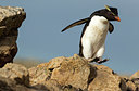 BUITEN BEELD Foto: 251322
