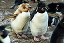 BUITEN BEELD Foto: 251323