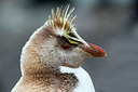 BUITEN BEELD Foto: 251325