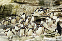 BUITEN BEELD Foto: 251331