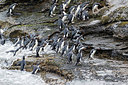 BUITEN BEELD Foto: 251342