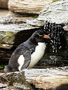 BUITEN BEELD Foto: 251343