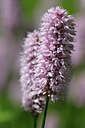 BUITEN BEELD Foto: 251361