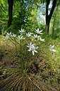 BUITEN BEELD Foto: 251365