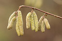 BUITEN BEELD Foto: 251406