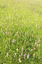 BUITEN BEELD Foto: 251425