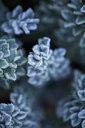 BUITEN BEELD Foto: 251480