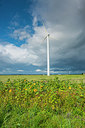 BUITEN BEELD Foto: 251535