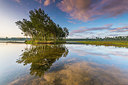 BUITEN BEELD Foto: 251564