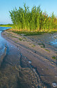 BUITEN BEELD Foto: 251566